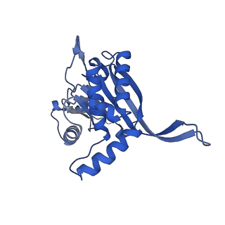26650_7uom_2j_v1-0
Endogenous dihydrolipoamide acetyltransferase (E2) core of pyruvate dehydrogenase complex from bovine kidney