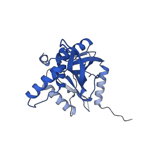 26650_7uom_2k_v1-0
Endogenous dihydrolipoamide acetyltransferase (E2) core of pyruvate dehydrogenase complex from bovine kidney