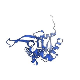 26650_7uom_2l_v1-0
Endogenous dihydrolipoamide acetyltransferase (E2) core of pyruvate dehydrogenase complex from bovine kidney