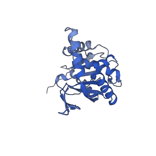 26650_7uom_2m_v1-0
Endogenous dihydrolipoamide acetyltransferase (E2) core of pyruvate dehydrogenase complex from bovine kidney