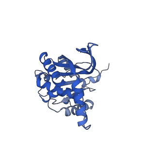 26650_7uom_2n_v1-0
Endogenous dihydrolipoamide acetyltransferase (E2) core of pyruvate dehydrogenase complex from bovine kidney