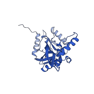 26650_7uom_2o_v1-0
Endogenous dihydrolipoamide acetyltransferase (E2) core of pyruvate dehydrogenase complex from bovine kidney