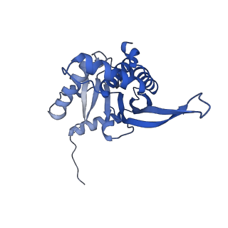 26650_7uom_2p_v1-0
Endogenous dihydrolipoamide acetyltransferase (E2) core of pyruvate dehydrogenase complex from bovine kidney