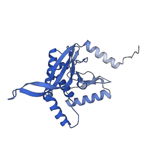 26650_7uom_2q_v1-0
Endogenous dihydrolipoamide acetyltransferase (E2) core of pyruvate dehydrogenase complex from bovine kidney