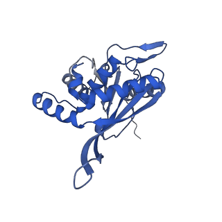 26650_7uom_2r_v1-0
Endogenous dihydrolipoamide acetyltransferase (E2) core of pyruvate dehydrogenase complex from bovine kidney