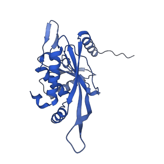 26650_7uom_2s_v1-0
Endogenous dihydrolipoamide acetyltransferase (E2) core of pyruvate dehydrogenase complex from bovine kidney