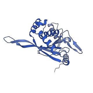 26650_7uom_2t_v1-0
Endogenous dihydrolipoamide acetyltransferase (E2) core of pyruvate dehydrogenase complex from bovine kidney