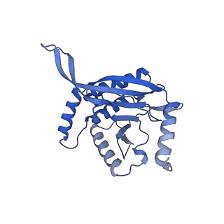 26650_7uom_2u_v1-0
Endogenous dihydrolipoamide acetyltransferase (E2) core of pyruvate dehydrogenase complex from bovine kidney