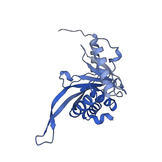 26650_7uom_2z_v1-0
Endogenous dihydrolipoamide acetyltransferase (E2) core of pyruvate dehydrogenase complex from bovine kidney