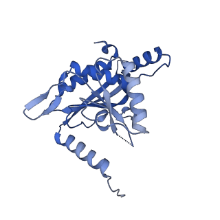 26650_7uom_3a_v1-0
Endogenous dihydrolipoamide acetyltransferase (E2) core of pyruvate dehydrogenase complex from bovine kidney