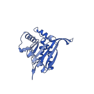 26650_7uom_3c_v1-0
Endogenous dihydrolipoamide acetyltransferase (E2) core of pyruvate dehydrogenase complex from bovine kidney