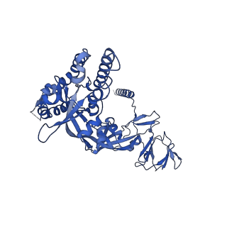 26652_7uop_A_v1-1
Prefusion-stabilized Nipah virus fusion protein complexed with Fab 4H3