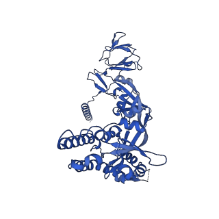 26652_7uop_D_v1-1
Prefusion-stabilized Nipah virus fusion protein complexed with Fab 4H3