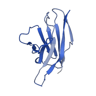 26652_7uop_E_v1-1
Prefusion-stabilized Nipah virus fusion protein complexed with Fab 4H3