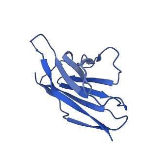 26652_7uop_F_v1-1
Prefusion-stabilized Nipah virus fusion protein complexed with Fab 4H3