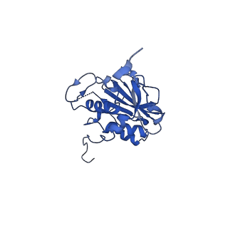 26653_7uot_A_v1-0
Native Lassa glycoprotein in complex with neutralizing antibodies 8.9F and 37.2D