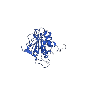 26653_7uot_B_v1-0
Native Lassa glycoprotein in complex with neutralizing antibodies 8.9F and 37.2D
