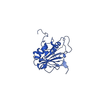 26653_7uot_C_v1-0
Native Lassa glycoprotein in complex with neutralizing antibodies 8.9F and 37.2D