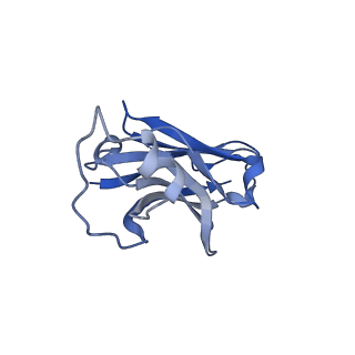 26653_7uot_H_v1-0
Native Lassa glycoprotein in complex with neutralizing antibodies 8.9F and 37.2D