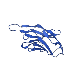 26655_7uov_S_v1-0
Native Lassa glycoprotein in complex with neutralizing antibodies 12.1F and 37.2D