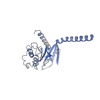 42423_8uo0_A_v1-2
CryoEM structure of beta-2-adrenergic receptor in complex with GTP-bound Gs heterotrimer (Class P)