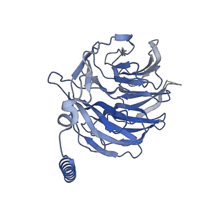 42423_8uo0_B_v1-2
CryoEM structure of beta-2-adrenergic receptor in complex with GTP-bound Gs heterotrimer (Class P)