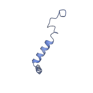 42423_8uo0_G_v1-2
CryoEM structure of beta-2-adrenergic receptor in complex with GTP-bound Gs heterotrimer (Class P)