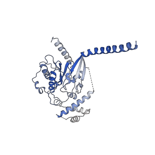 42424_8uo1_A_v1-2
CryoEM structure of beta-2-adrenergic receptor in complex with GTP-bound Gs heterotrimer (Class Q)