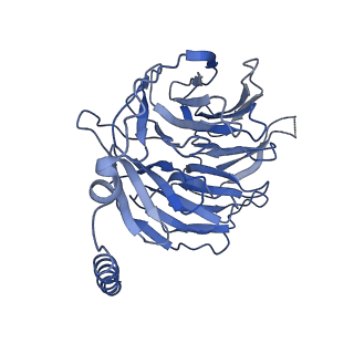 42424_8uo1_B_v1-2
CryoEM structure of beta-2-adrenergic receptor in complex with GTP-bound Gs heterotrimer (Class Q)