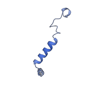 42424_8uo1_G_v1-2
CryoEM structure of beta-2-adrenergic receptor in complex with GTP-bound Gs heterotrimer (Class Q)