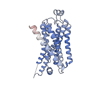 42424_8uo1_R_v1-2
CryoEM structure of beta-2-adrenergic receptor in complex with GTP-bound Gs heterotrimer (Class Q)