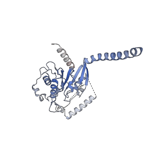 42425_8uo2_A_v1-2
CryoEM structure of beta-2-adrenergic receptor in complex with GTP-bound Gs heterotrimer (Class R)