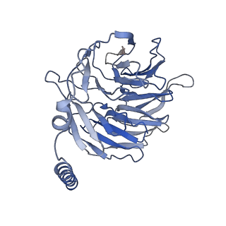 42425_8uo2_B_v1-2
CryoEM structure of beta-2-adrenergic receptor in complex with GTP-bound Gs heterotrimer (Class R)