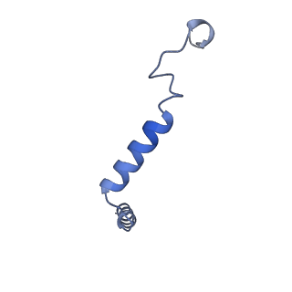 42425_8uo2_G_v1-2
CryoEM structure of beta-2-adrenergic receptor in complex with GTP-bound Gs heterotrimer (Class R)