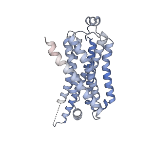 42425_8uo2_R_v1-2
CryoEM structure of beta-2-adrenergic receptor in complex with GTP-bound Gs heterotrimer (Class R)