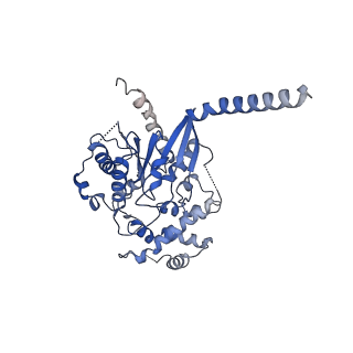 42426_8uo3_A_v1-2
CryoEM structure of beta-2-adrenergic receptor in complex with GTP-bound Gs heterotrimer (Class S)