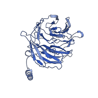 42426_8uo3_B_v1-2
CryoEM structure of beta-2-adrenergic receptor in complex with GTP-bound Gs heterotrimer (Class S)