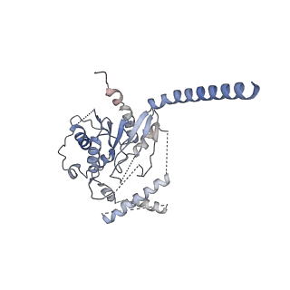 42427_8uo4_A_v1-2
CryoEM structure of beta-2-adrenergic receptor in complex with GTP-bound Gs heterotrimer (Class T)