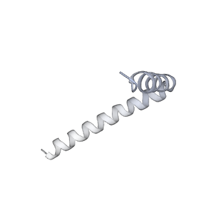 42439_8uox_A2_v1-1
Cryo-EM structure of a Counterclockwise locked form of the Salmonella enterica Typhimurium flagellar C-ring, with C34 symmetry applied