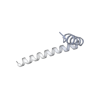 42439_8uox_A3_v1-1
Cryo-EM structure of a Counterclockwise locked form of the Salmonella enterica Typhimurium flagellar C-ring, with C34 symmetry applied