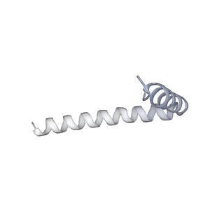 42439_8uox_A4_v1-1
Cryo-EM structure of a Counterclockwise locked form of the Salmonella enterica Typhimurium flagellar C-ring, with C34 symmetry applied