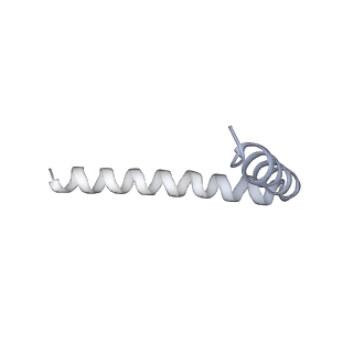 42439_8uox_A5_v1-1
Cryo-EM structure of a Counterclockwise locked form of the Salmonella enterica Typhimurium flagellar C-ring, with C34 symmetry applied