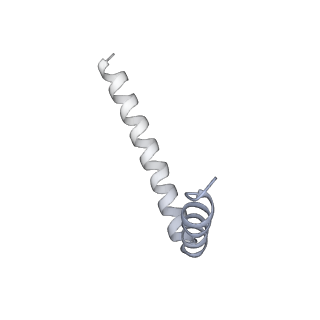 42439_8uox_AB_v1-1
Cryo-EM structure of a Counterclockwise locked form of the Salmonella enterica Typhimurium flagellar C-ring, with C34 symmetry applied