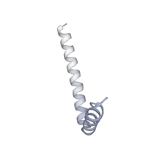 42439_8uox_AC_v1-1
Cryo-EM structure of a Counterclockwise locked form of the Salmonella enterica Typhimurium flagellar C-ring, with C34 symmetry applied