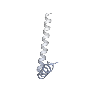 42439_8uox_AE_v1-1
Cryo-EM structure of a Counterclockwise locked form of the Salmonella enterica Typhimurium flagellar C-ring, with C34 symmetry applied