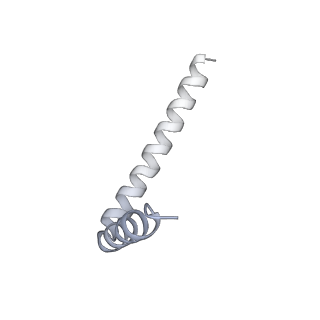 42439_8uox_AG_v1-1
Cryo-EM structure of a Counterclockwise locked form of the Salmonella enterica Typhimurium flagellar C-ring, with C34 symmetry applied