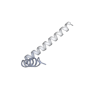 42439_8uox_AI_v1-1
Cryo-EM structure of a Counterclockwise locked form of the Salmonella enterica Typhimurium flagellar C-ring, with C34 symmetry applied