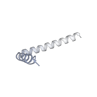 42439_8uox_AK_v1-1
Cryo-EM structure of a Counterclockwise locked form of the Salmonella enterica Typhimurium flagellar C-ring, with C34 symmetry applied