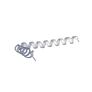 42439_8uox_AL_v1-1
Cryo-EM structure of a Counterclockwise locked form of the Salmonella enterica Typhimurium flagellar C-ring, with C34 symmetry applied