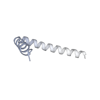 42439_8uox_AN_v1-1
Cryo-EM structure of a Counterclockwise locked form of the Salmonella enterica Typhimurium flagellar C-ring, with C34 symmetry applied